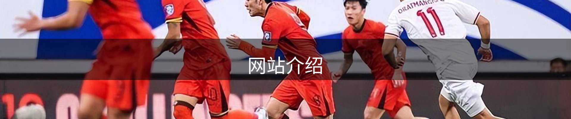 网站介绍